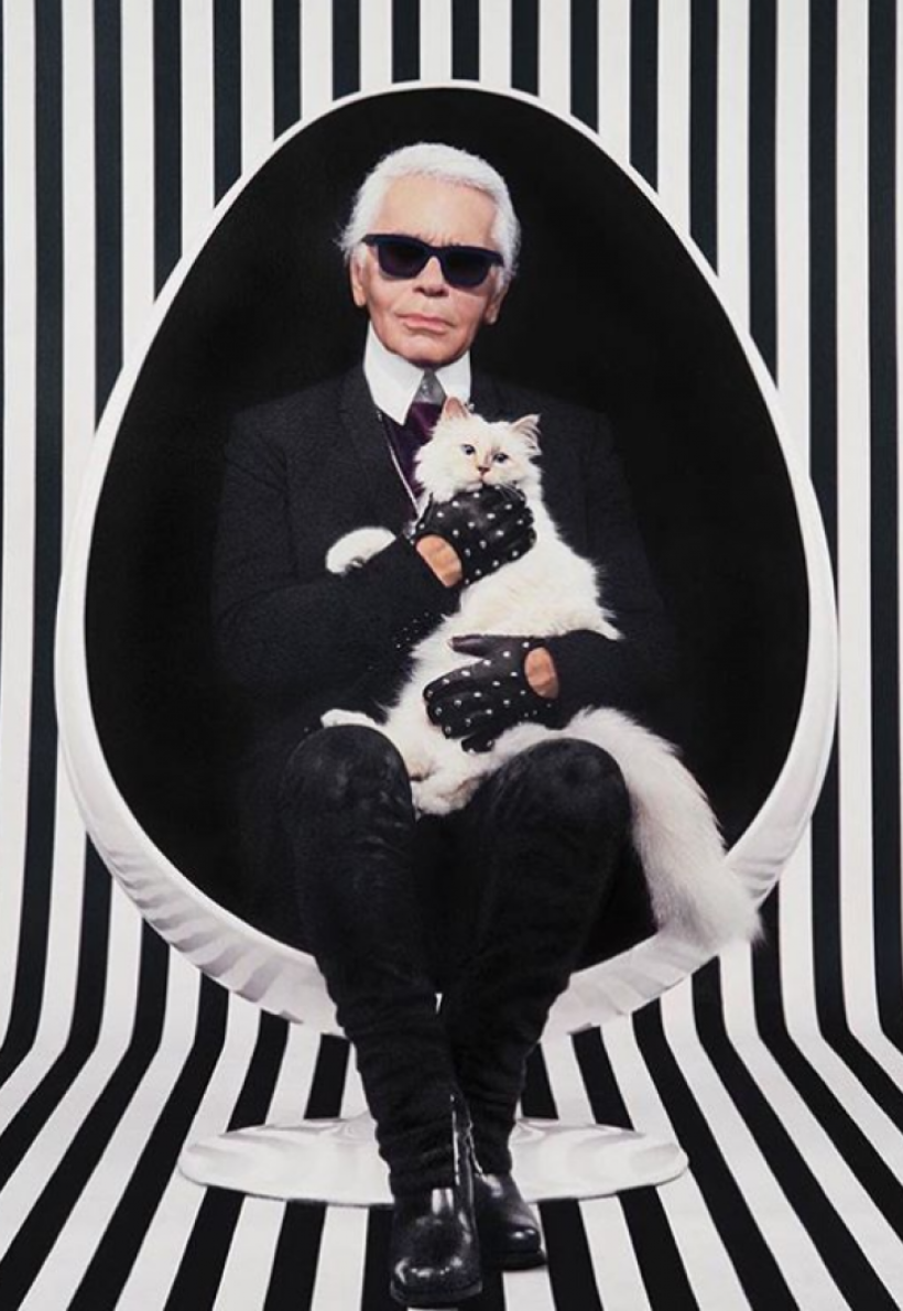 Imagem: Instagram - Karl Lagerfeld